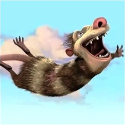 Quel animal volant est le polatouche ?