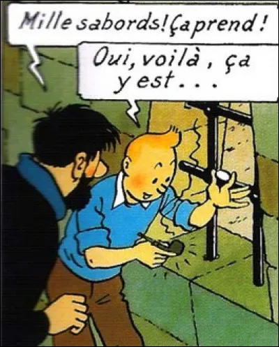 Dans quel album Tintin utilise-t-il une loupe pour allumer la pipe du capitaine ?