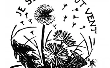 Quiz Illustrations