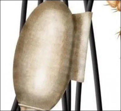 Rarement un pilier de bar, c'est l'...