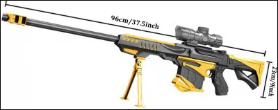 Quel est ce pistolet ?