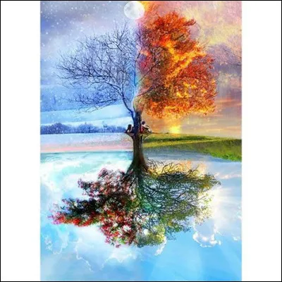 Quelle est ta saison préférée ?