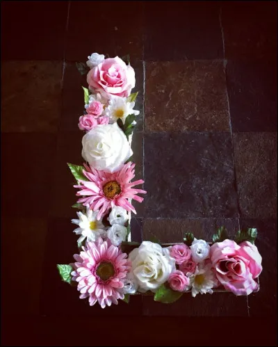 Lourdes : cette ville a été rendue célèbre, et a fait l'objet de pèlerinages catholiques depuis les apparitions de la Vierge Marie, en quelle année ?