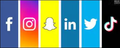Trouve l'intrus.
Snapchat - WhatsApp - Twitter - Face Bouk - Instagram - TikTok.