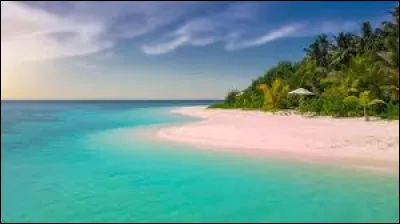 Pourquoi la mer est-elle bleue ?
Il faut 2 réponses.