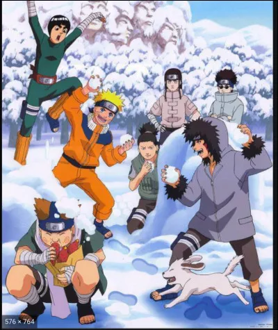 Qui reçoit une boule de neige sur la tête ?