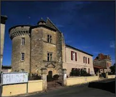 Nous sommes en Dordogne devant le ch&acirc;teau des archev&ecirc;ques de Bordeaux, &agrave; Lamothe-Montravel. Nous nous trouvons en r&eacute;gion ...