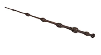 Qui est le propriétaire de la baguette de sureau après Dumbledore ?