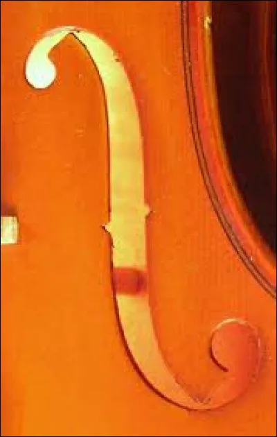 Quel est le nom des trous en forme de "f" ?