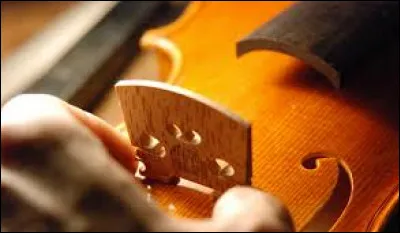 Quel est le nom de la petite pièce de bois qui soutient les cordes ?