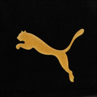 Quelle marque de sport préférez-vous ?