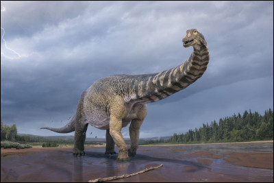 Les dinosaures ont disparu il y a de cela 108 ans :