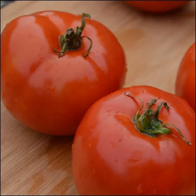 La tomate est un fruit :