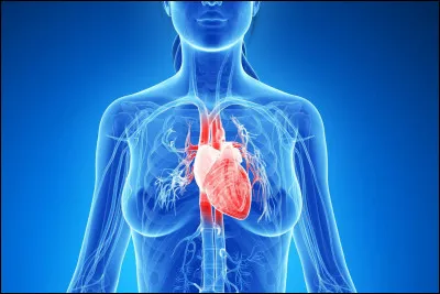 La vie est infinie : 
(pour une personne)