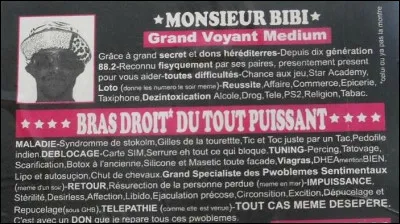 Des jumeaux citadins emménagent à la campagne, c'est là qu'il vont découvrir un monde magique. Film avec Freddie Highmore !
