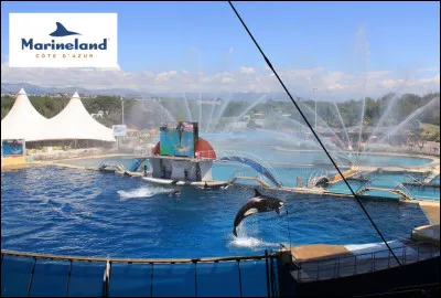 À Antibes se trouve le parc Marineland, le plus grand parc à thèmes de la région Provence-Alpes-Côte d'Azur.