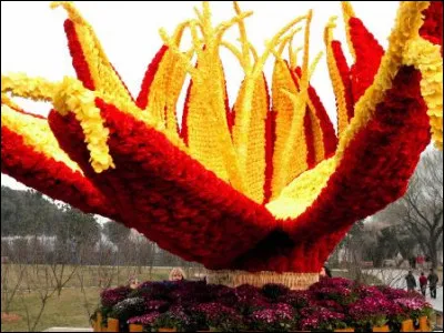 Menton est célèbre pour la culture des oranges depuis le 15ème siècle, et sa fête des oranges chaque mois de février.