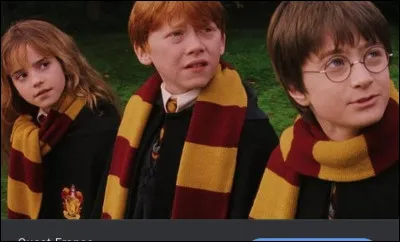 Comment se prénomment les enfants de Harry, Ginny, Ron et Hermione ?