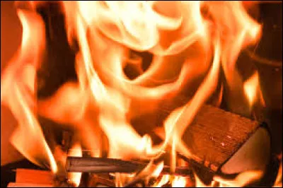 À quel chanteur doit-on "Allumer le feu" en 1998 ?