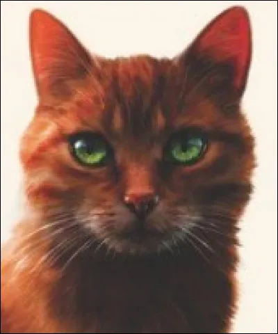 Quelle est l'origine d'Étoile de Feu ?