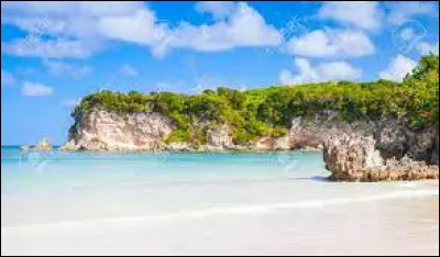 Hispaniola est l'autre nom de l'île d'Haïti.