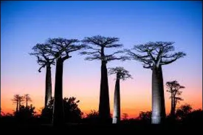 Madagascar est traversée par l'équateur.