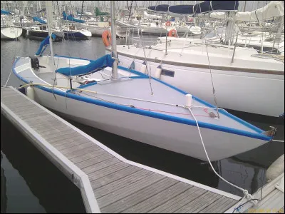 En 1993 est sorti le livre de Patrick Cauvin...