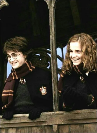 Qui sont les personnages du golden trio ?