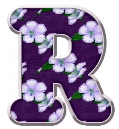 Rizières : Je vous donne quelques bribes d'une chanson dont vous devez trouver les interprètes : "Traversé les rizières jusqu'au grand fleuve salé, sans amour, sans un cri..."