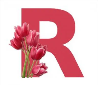 Rantanplan : qui est son maître (ou sa maîtresse) ?