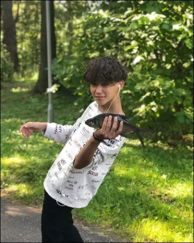 Dans la gastronomie néerlandaise, quel poisson est le maatje, consommé cru en sandwich ou en le gobant tel quel, tout simplement ?