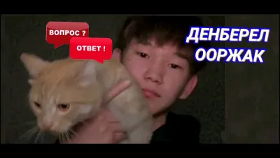 Dans quelle série d'animation trouve-t-on le chat nommé "Madchat" ?