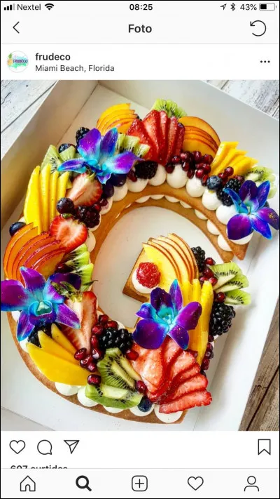 Geai : de quelle famille fait partie ce bel oiseau ?