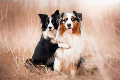 Amis ou famille ? Tu préfères...