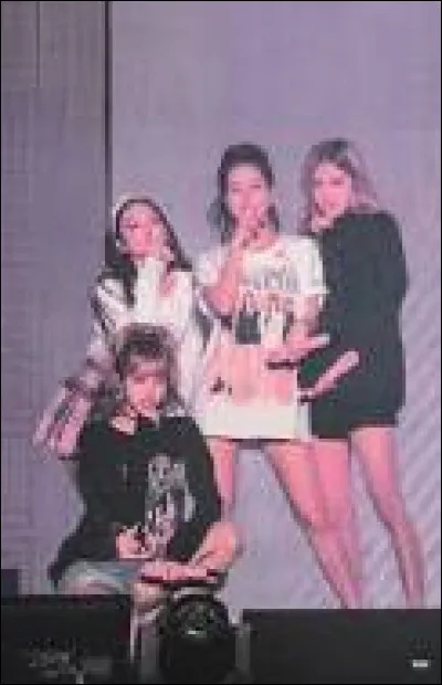 Est-ce que tu aimerais rencontrer dautres Blinks ?