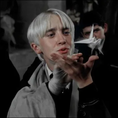 Au cours de sa troisième année, par qui se fait-il casser le bras ?