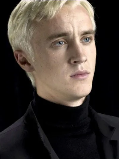 En cinquième année, il rejoint larmée de Dumbledore.