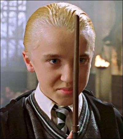 En deuxième année, de quoi traîte-t-il Hermione Granger ?