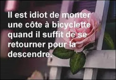 Citation : 
Et finissons ce quiz par un trait d'humour. Quel humoriste et comédien a dit : ''Il est idiot de monter une côte en bicyclette quand il suffit de se retourner pour la descendre'' ?