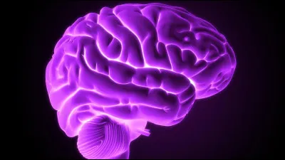 Culture générale pour surdoués (9) : 
Le Bufumbira, en Ouganda, est un volcan actif.