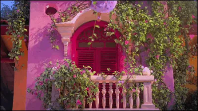 Quelle sont tes passions ?