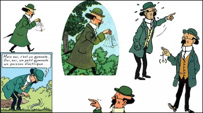 Lami de Tintin, le professeur Tournesol, a un petit défaut. Lequel ?