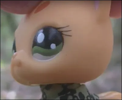 Quel est son élément ?