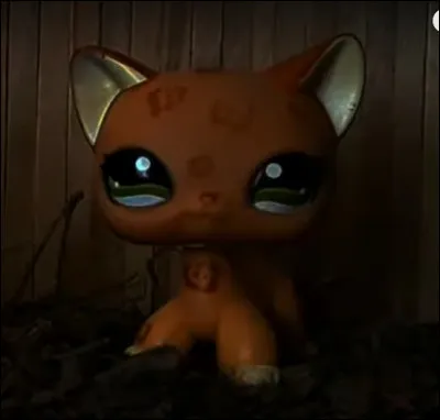 Comment s'appelle le personnage principal ?