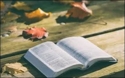 Qui est l'auteur du roman "Belle du seigneur" publié en 1968 ?