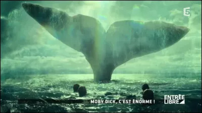"Moby Dick" est un film interprété par Gregory Peck.