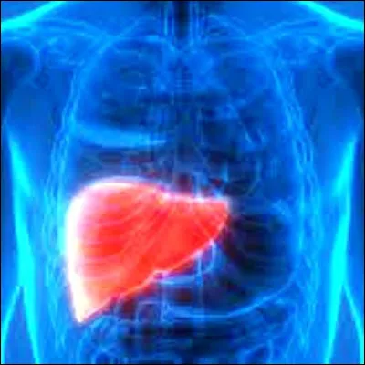 Quel m&eacute;decin fran&ccedil;ais, consid&eacute;r&eacute; comme le p&egrave;re de la m&eacute;decine exp&eacute;rimentale, d&eacute;couvre entre autres le r&ocirc;le du foie dans la s&eacute;cr&eacute;tion de glucose dans le sang ?