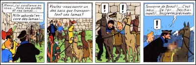 Ça pour une surprise, c'en est une ! Que découvrent donc nos amis ?