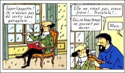 Tournesol n'en rate pas une... Encore qu'il n'y soit peut-être pour rien, cette fois-ci ! D'où proviennent ces gouttes qui lui tombent dessus ?