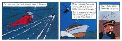 Haddock a encore et toujours des problèmes : cette fois-ci, avec un insecte... Que va-t-il faire pour s'en débarasser ?